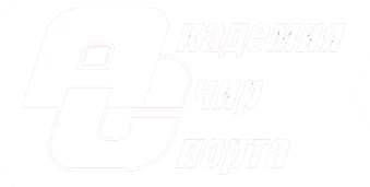 Логотип Академия чир спорта Саранск